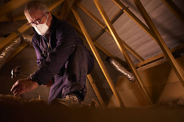 Best Residential Insulation in San Jacinto, CA